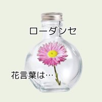 åŠæðº (@kisaragiaim1228) 's Twitter Profile