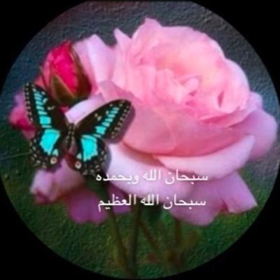 ونيسة امي 🖤💛wneesa Profile