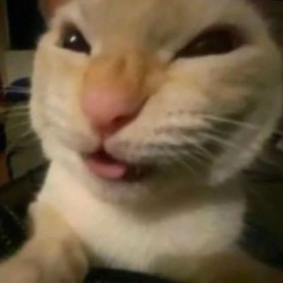 パチンコは適度に遊ぶものです。のめり込みには注意しましょう。フォロバ100♻️ 10/11からスロット始めた🎰🔰