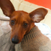 Elias Apostolopoulos (@drogopoylos) Twitter profile photo Elias Apostolopoulos (@drogopoylos) Twitter profile photo