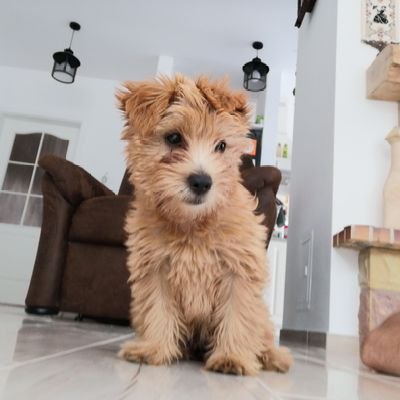 luka wrobe Trza pogonić PiS