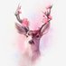 꽃사슴🦌 (@deer_onani) Twitter profile photo 꽃사슴🦌 (@deer_onani) Twitter profile photo