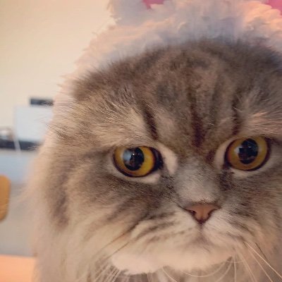 marizo__'s profile picture. 