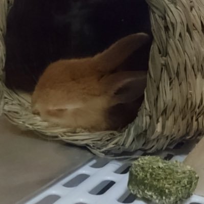 cbnc34's profile picture. 