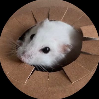 Reedさんのプロフィール画像