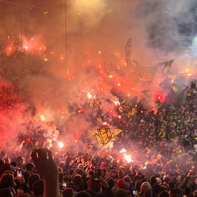 Louis___231's profile picture. Nantes ⚽️ / Stade Rochelais 🏉