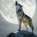 Lonewolf92 (@alienwaran98532) Twitter profile photo Lonewolf92 (@alienwaran98532) Twitter profile photo