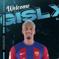 S4MU3L🦍 (@samuel03529640) 's Twitter Profile