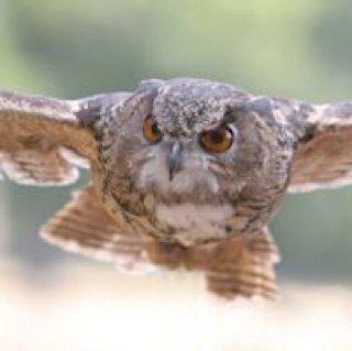 mjh93sa's profile picture. 