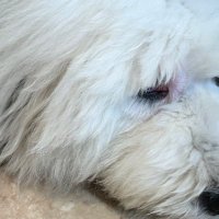 ぶろっく (@ggxth2luj537305) 's Twitter Profile