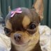 🐶 (@another_babe) Twitter profile photo 🐶 (@another_babe) Twitter profile photo