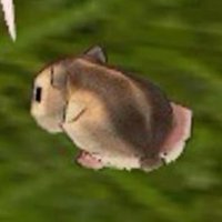 쥑 (@zzzzzzzzzuz2) 's Twitter Profile