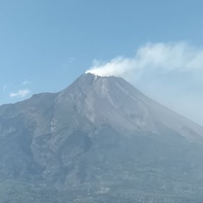 PriyankaAstrid's profile picture. 