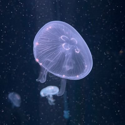 i4_kom's profile picture. 理一志望　地方高三