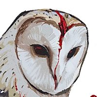 Geodornis (@geodornis) 's Twitter Profile Photo Geodornis (@geodornis) 's Twitter Profile Photo
