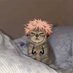 LordDonald (@lorddonald11) Twitter profile photo LordDonald (@lorddonald11) Twitter profile photo