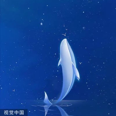 chenouze1's profile picture. 