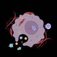 Cancer Metastasis Lab (@cancermetslab) 's Twitter Profile Photo