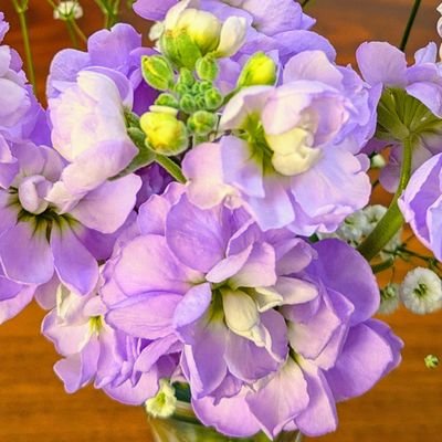 antyan0312's profile picture. timeleszが大好きです💕風磨くん寄りの箱推し。てらくんと将生くんも気になっています。かなり大人のsecondz。孫活も楽しみ中。年齢関係なく話しかけていただけると嬉しいです✨智樹くんとまえすけくんも応援中。TAG SEARCH入会 #secondzさんと繋がりたい #大人secondzさんと繋がりたい