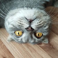 Nastya_2502 (@loveateez122018) 's Twitter Profile Photo