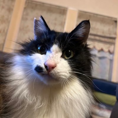らんさんのプロフィール画像