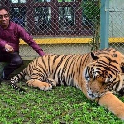 santonkijai1780's profile picture. 