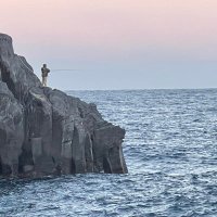 dinotail (@dienotale) 's Twitter Profile
