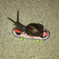 ehm รบบ 𓍊🌞🐌 (@_psben) 's Twitter Profile Photo ehm รบบ 𓍊🌞🐌 (@_psben) 's Twitter Profile Photo