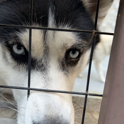 ai0gap's profile picture. 