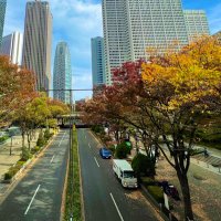 ひかる (@hi_kahika19) 's Twitter Profile Photo