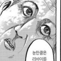 리바이를노리는거인 (@imlookingatlevi) 's Twitter Profile