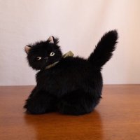 つめ☺︎🦕🐈⬛6m (@zukanay) 's Twitter Profile Photo つめ☺︎🦕🐈⬛6m (@zukanay) 's Twitter Profile Photo