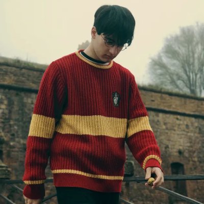 Arnau1777's profile picture. • Jefe del equipo de gestión de Rotia
• Desarrollador
• Creador de contenido
• AOT ⚔️
• ✨ Harry Potter ✨
• illojo 💙