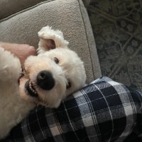 @workhardflyright✈️❤️🇺🇸 (@workhardflyrig1) 's Twitter Profile