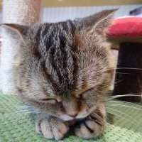 ひな (@isbpdex31cxvkec) 's Twitter Profile