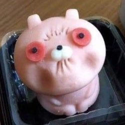 たすさんのプロフィール画像