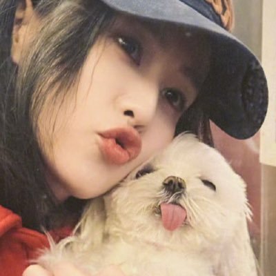 pieyesss's profile picture. 아이유 白鹿 ♡