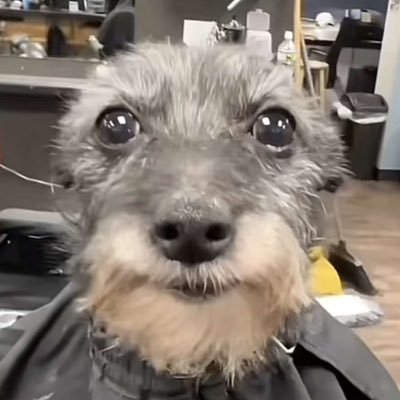 cigsandbag's profile picture. 