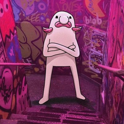 abhiabhbosko's profile picture. crypto holder