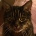 D Andrews (@dandrewswrites) Twitter profile photo D Andrews (@dandrewswrites) Twitter profile photo