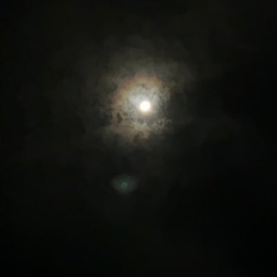 ongchugia48's profile picture. Ồ Yeahhhh