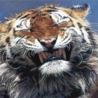 Wack (@wack_l0bster) 's Twitter Profile