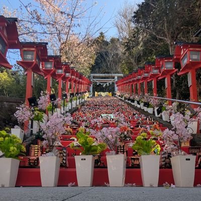 shuku_rekitabi's profile picture. 淑徳大学千葉キャンパスに2025年設立！ (予定!) 
「歴旅サークル」は、千葉中心に史跡や観光名所を巡り、 地域を発信する社会科サークル！
大学の公認化を目指し、共にサークルを創りませんか？
旅行、アウトドアetc...
だいたい何でもできます！
DM歓迎！
あと詳しくはインスタで！