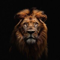 𝖁𝖗𝖔𝖙𝖍𝖊𝖗 𝕯. (@ehulethegreat) 's Twitter Profile Photo