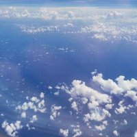 排骨湯（复活版） (@gu_tang35608) 's Twitter Profile