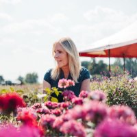 Kelly Anne Liberto (@kellyliberto) 's Twitter Profile