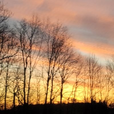 upwords4you's profile picture. To bring encouragement, positivity, kindness and love into your life through uplifting words.