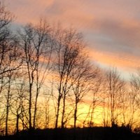 Tabitha Smith (@upwords4you) 's Twitter Profile