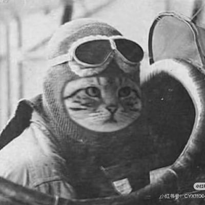 latinface's profile picture. Only a ginger,can call another ginger ginger~~~