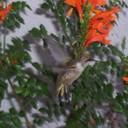 john reynoso - @johnreynoso1 - Twitter